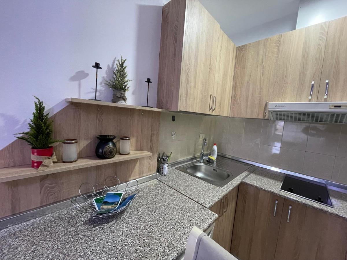 Downtown Modern Studio Apartment 地拉那 外观 照片