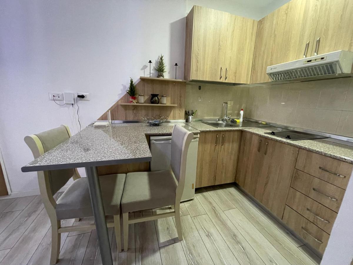 Downtown Modern Studio Apartment 地拉那 外观 照片